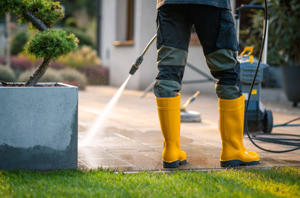 Best Gutter Cleaning in Hopkins, MN